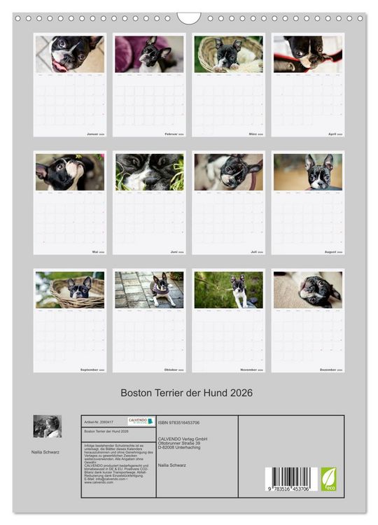 Produktbild: Boston Terrier der Hund 2026 (Wandkalender 2026 DIN A3 hoch), CALVENDO Monatskalender