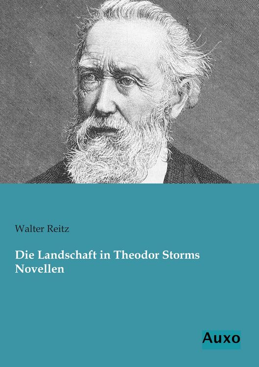 Produktbild: Die Landschaft in Theodor Storms Novellen