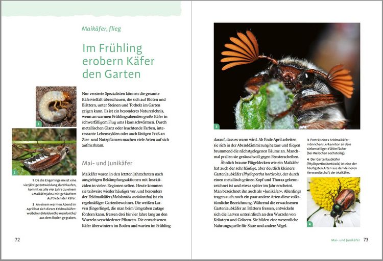 Produktbild: Gartensafari