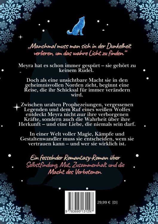 Produktbild: Aurora Borealis: Mitrei&szlig;ende und romantische Dark Fantasy Trilogie