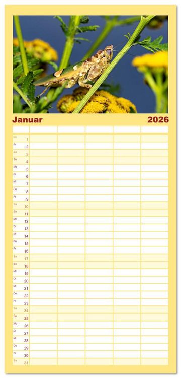 Produktbild: Familienplaner 2026 - Im Bann der Mantis mit 5 Spalten (Wandkalender, 21 x 45 cm) CALVENDO