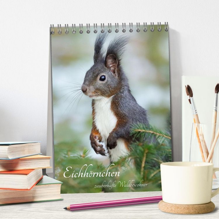 Produktbild: Eichh&ouml;rnchen - zauberhafte Waldbewohner (Tischkalender 2026 DIN A5 hoch), CALVENDO Monatskalender