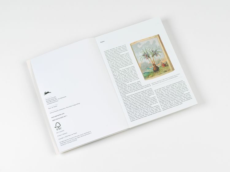 Produktbild: Flowers