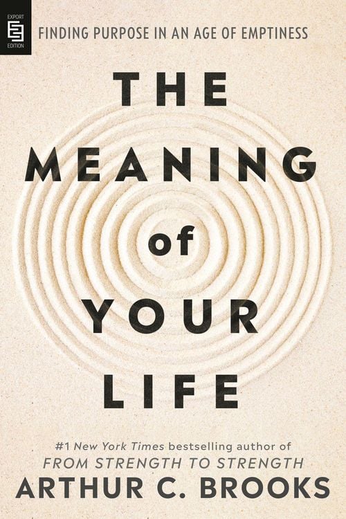 Produktbild: The Meaning of Your Life