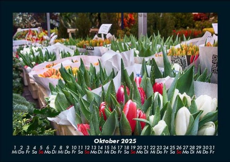 Produktbild: Blumentr&auml;ume 2025 Fotokalender DIN A5