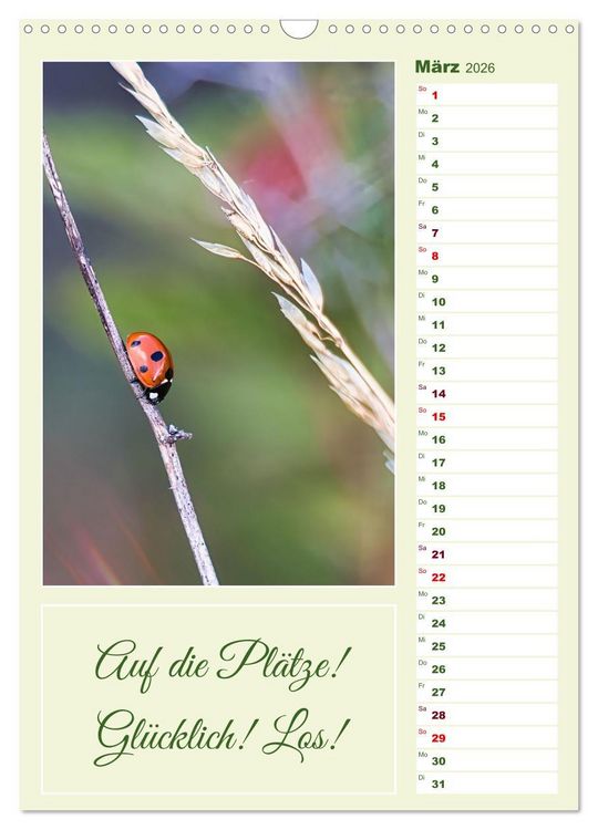 Produktbild: Marienk&auml;fer, Gl&uuml;cksbringer mit sieben Punkten (Wandkalender 2026 DIN A3 hoch), CALVENDO Monatskalender
