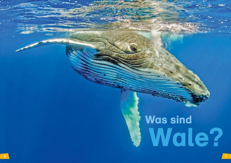 Produktbild: WAS IST WAS Erstes Lesen Band 1. Wale und Delfine