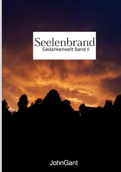 Produktbild: Gedankenwelt / Seelenbrand
