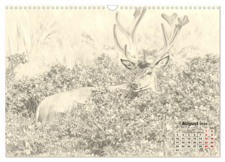 Produktbild: Wilde Seelen - Tierische Momente in Graphit (Wandkalender 2026 DIN A3 quer), CALVENDO Monatskalender