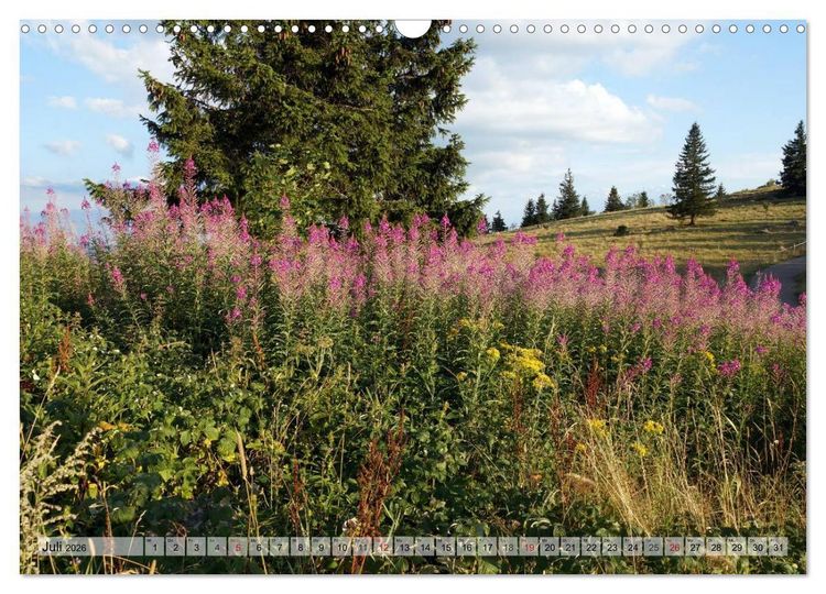 Produktbild: S&uuml;dschwarzwald - Impressionen (Wandkalender 2026 DIN A3 quer), CALVENDO Monatskalender
