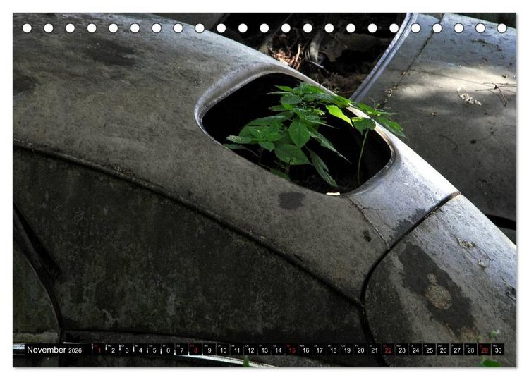 Produktbild: Autowracks - rostende Liebe (Tischkalender 2026 DIN A5 quer), CALVENDO Monatskalender