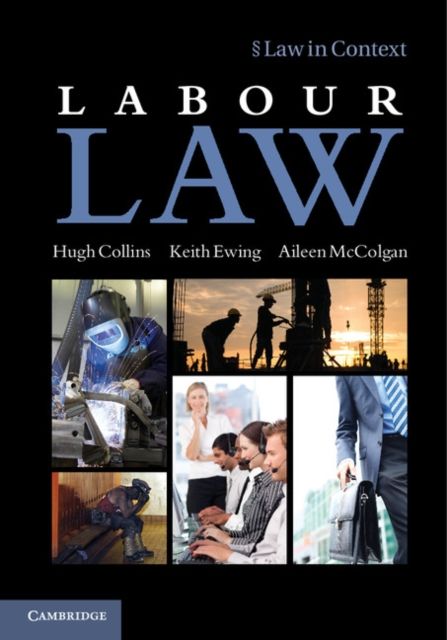 Produktbild: Labour Law