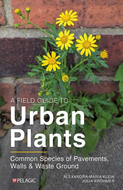 Produktbild: A Field Guide to Urban Plants