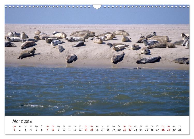 Produktbild: Nordsee, Meer, Strand und Wind (Wandkalender 2026 DIN A3 quer), CALVENDO Monatskalender