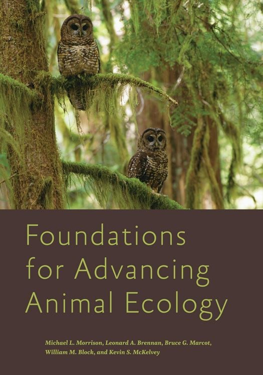 Produktbild: Foundations for Advancing Animal Ecology