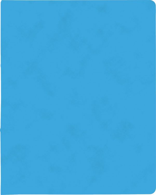 Produktbild: Brunnen Ringbuch FACT!plus &brvbar; A4, 2 Ringe, F&uuml;llh&ouml;he: 15 mm, hellblau