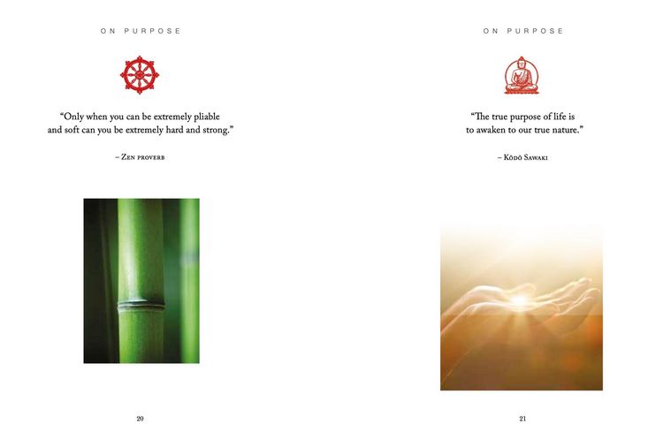 Produktbild: Zen Wisdom