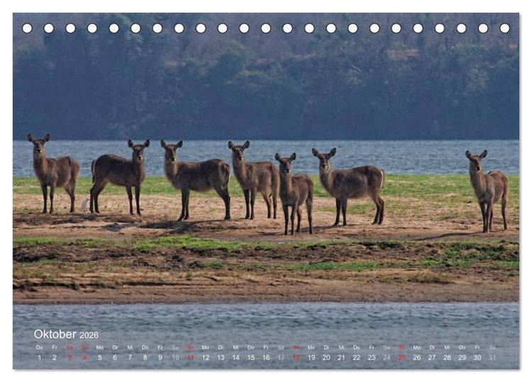 Produktbild: Zimbabwe (Tischkalender 2026 DIN A5 quer), CALVENDO Monatskalender