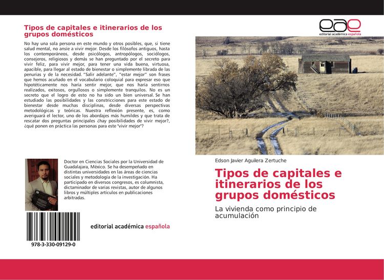 Produktbild: Tipos de capitales e itinerarios de los grupos dom&eacute;sticos