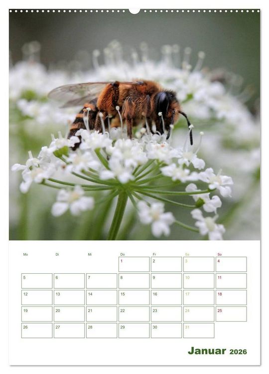 Produktbild: Bienen-Terminplaner 2026 (hochwertiger Premium Wandkalender 2026 DIN A2 hoch), Kunstdruck in Hochglanz
