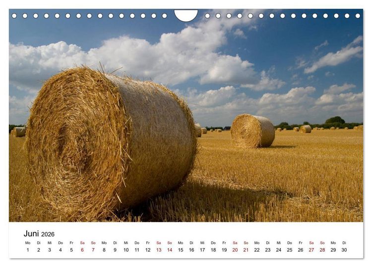Produktbild: Stimmungsvoller Niederrhein (Wandkalender 2026 DIN A4 quer), CALVENDO Monatskalender