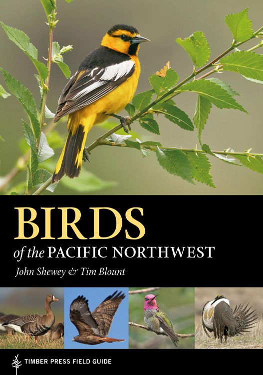 Produktbild: Birds of the Pacific Northwest