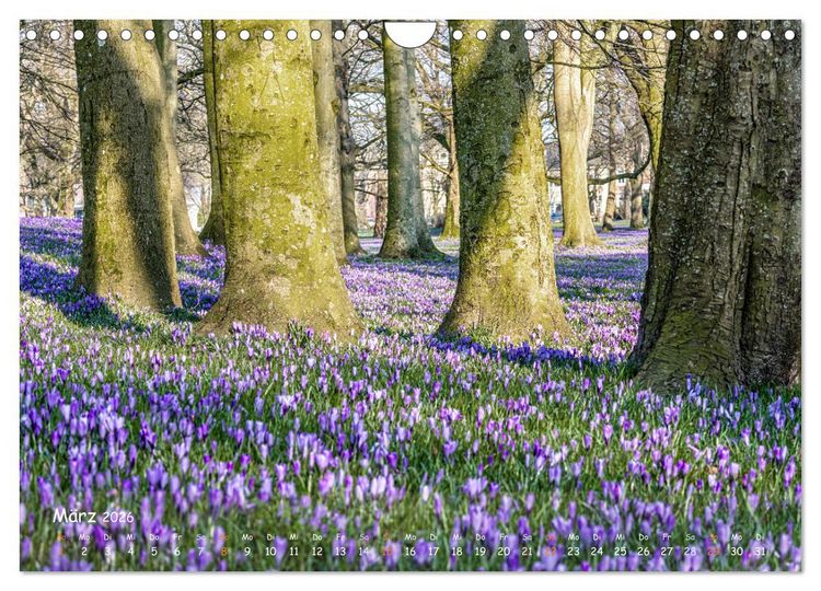 Produktbild: Westk&uuml;ste - Zwischen St. Peter Ording, B&uuml;sum und Elbe (Wandkalender 2026 DIN A4 quer), CALVENDO Monatskalender