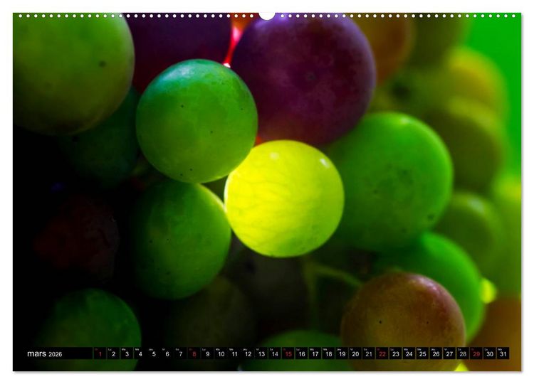 Produktbild: LE VIN (Calendrier mural 2026 DIN A2 vertical) calendrier de bureau