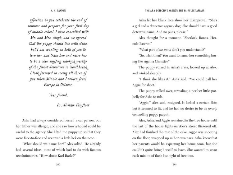 Produktbild: The A&a Detective Agency: The Fairfleet Affair