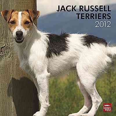 Produktbild: Jack Russell Terriers 2012 Calendar