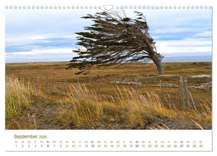 Produktbild: Weites Argentinien (Wandkalender 2026 DIN A3 quer), CALVENDO Monatskalender