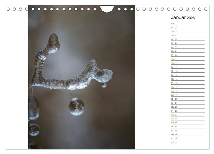 Produktbild: Kleine Wunder vor der Haust&uuml;r (Wandkalender 2026 DIN A4 quer), CALVENDO Monatskalender