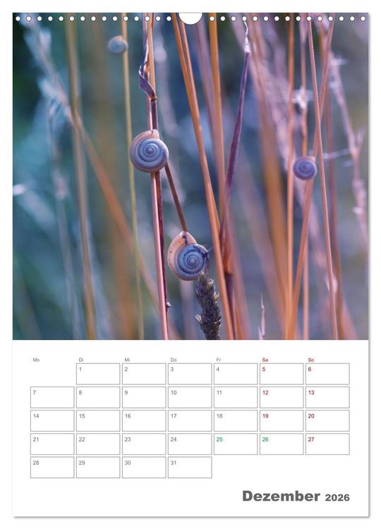 Produktbild: Helden in der Natur (Wandkalender 2026 DIN A3 hoch), CALVENDO Monatskalender