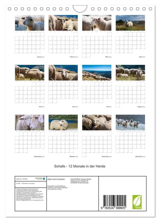 Produktbild: Schafe - 12 Monate in der Herde (Wandkalender 2026 DIN A4 hoch), CALVENDO Monatskalender