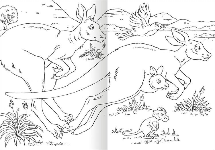 Produktbild: Das superdicke Malbuch &ndash; Tiere