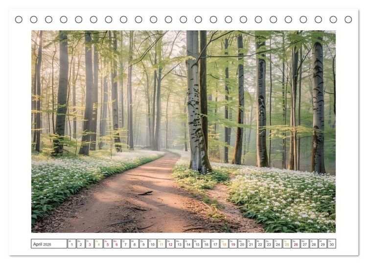 Produktbild: Mystische Wege (Tischkalender 2026 DIN A5 quer), CALVENDO Monatskalender