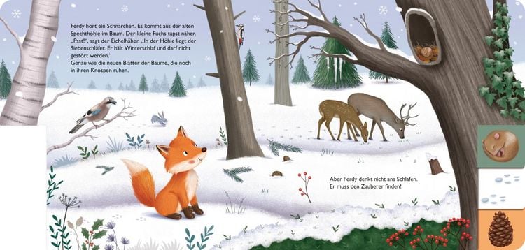 Produktbild: Mein erstes Jahreszeitenbuch: Ferdy, der kleine Fuchs