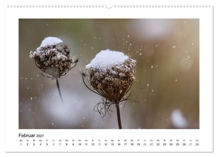 Produktbild: Zauber verg&auml;nglicher Bl&uuml;ten (hochwertiger Premium Wandkalender 2027 DIN A2 quer), Kunstdruck in Hochglanz