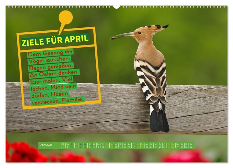 Produktbild: ZIELE Monat f&uuml;r Monat (hochwertiger Premium Wandkalender 2026 DIN A2 quer), Kunstdruck in Hochglanz