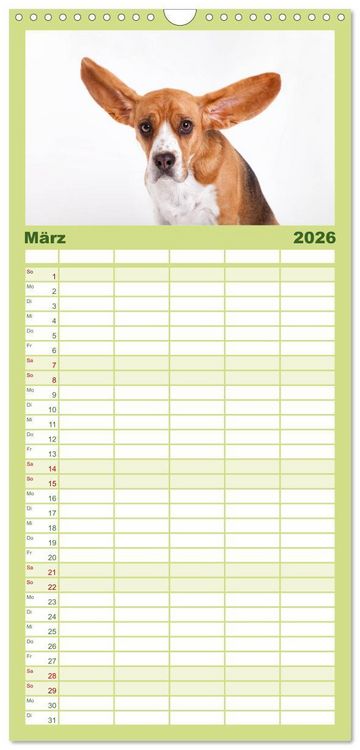 Produktbild: Familienplaner 2026 - SCHLAPPOHREN mit 5 Spalten (Wandkalender, 21 x 45 cm) CALVENDO