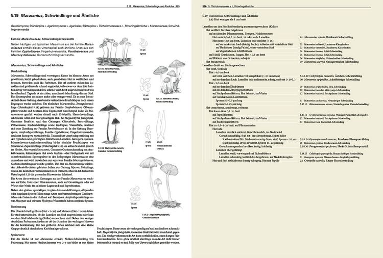 Produktbild: Pilze Mitteleuropas