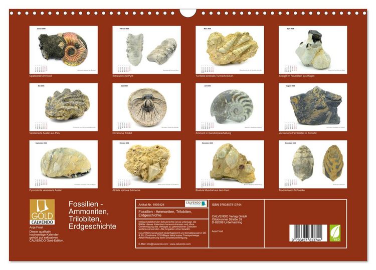 Produktbild: Fossilien - Ammoniten, Trilobiten, Erdgeschichte (Wandkalender 2026 DIN A3 quer), CALVENDO Monatskalender