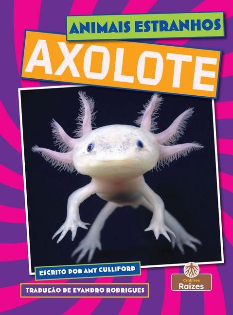 Produktbild: Axolote (Axolotl)