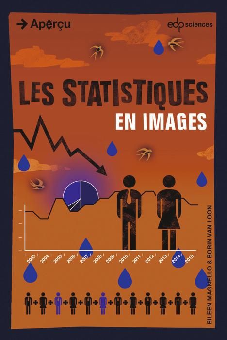 Produktbild: Les statistiques en images