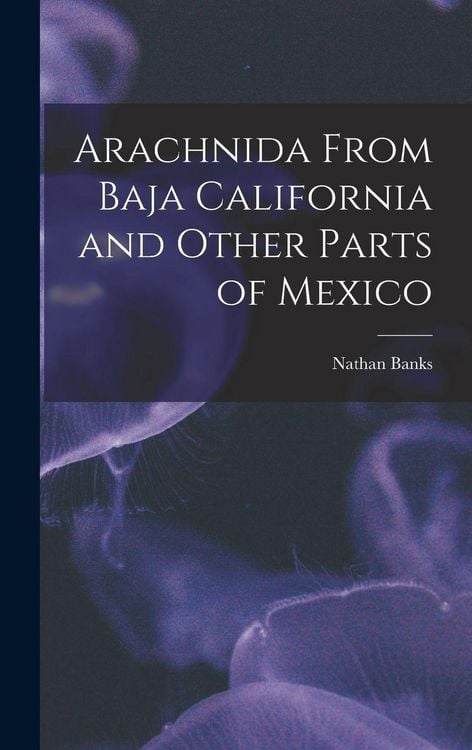 Produktbild: Arachnida From Baja California and Other Parts of Mexico