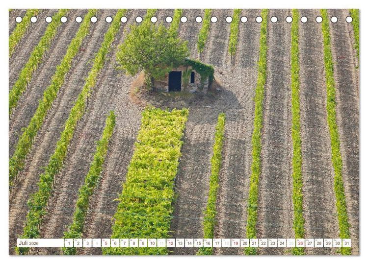 Produktbild: Toskana - Goldene Farben des toskanischen Herbstes (Tischkalender 2026 DIN A5 quer), CALVENDO Monatskalender