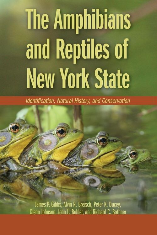 Produktbild: Amphibians and Reptiles of New York State