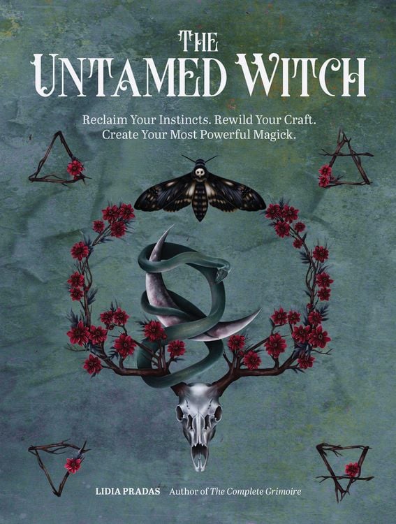 Produktbild: The Untamed Witch