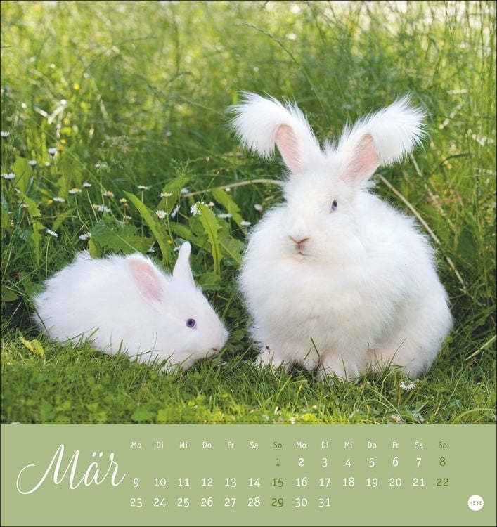 Produktbild: S&uuml;&szlig;e Kaninchen Postkartenkalender 2026