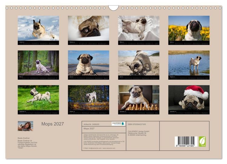 Produktbild: Mops 2027 (Wandkalender 2027 DIN A3 quer), CALVENDO Monatskalender